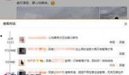 卓伟爆料陈凯威了吗视频,揭秘娱乐圈新动态