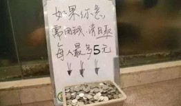 最新爆料毒硬币,最新爆料揭示其神秘面纱