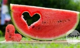 免费吃瓜网,揭秘娱乐圈幕后故事，带你畅游娱乐八卦海洋