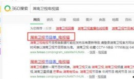 河南省卫视爆料视频回放,爆料视频背后的惊人真相